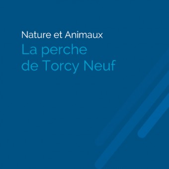 Torcy, paysages et patrimoine - La Perche de Torcy Neuf