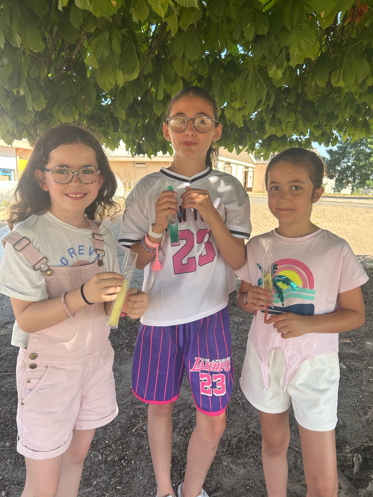 glaces dans les écoles