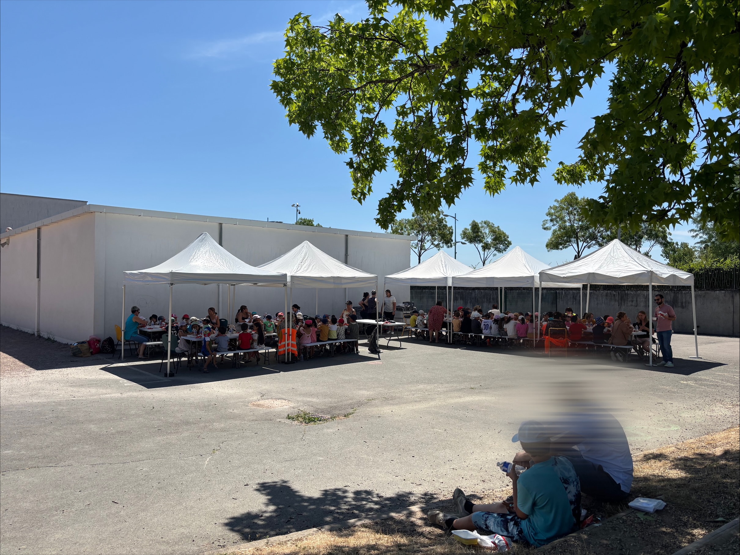 restaurant scolaire